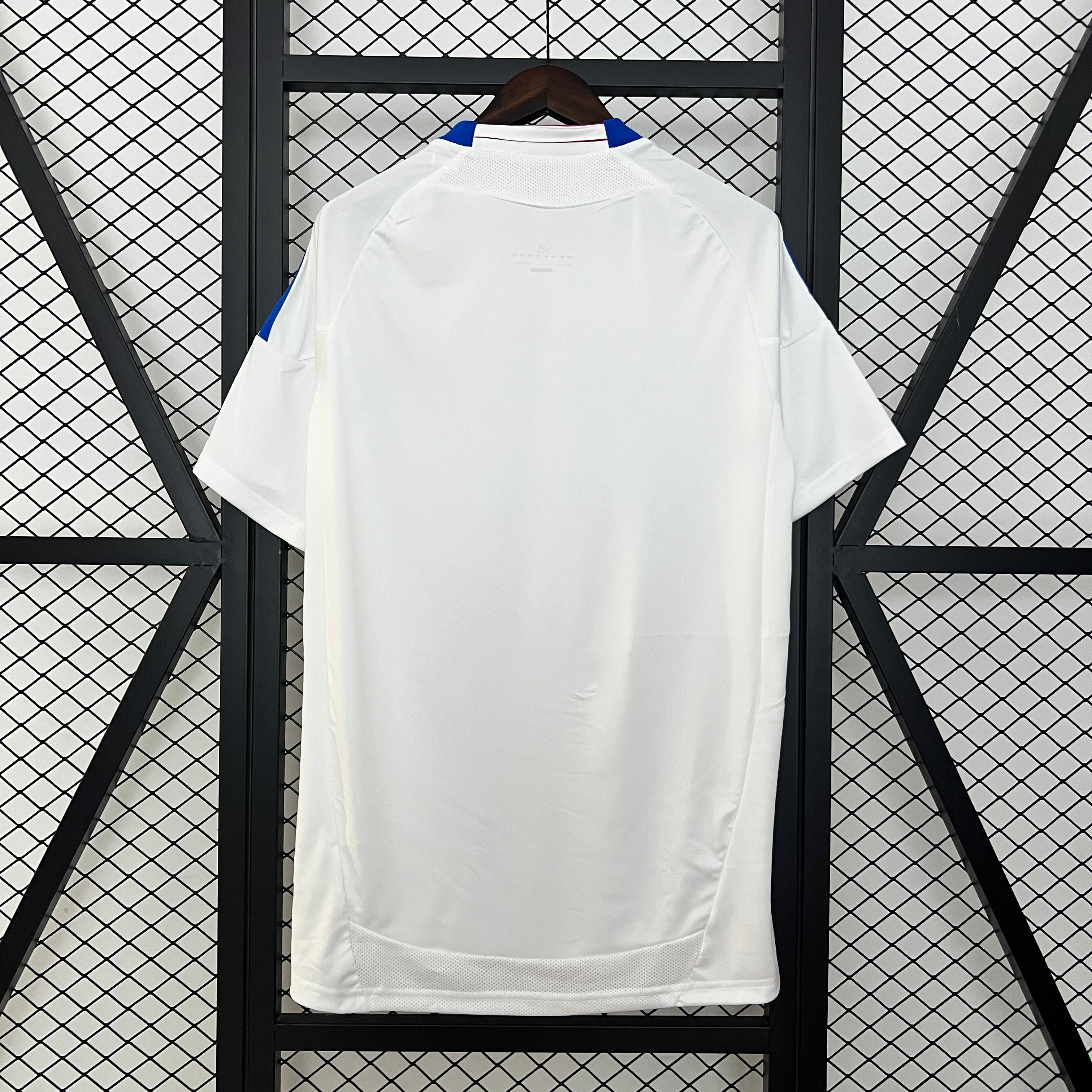 Olympique Lyon home jersey. Season 10/11