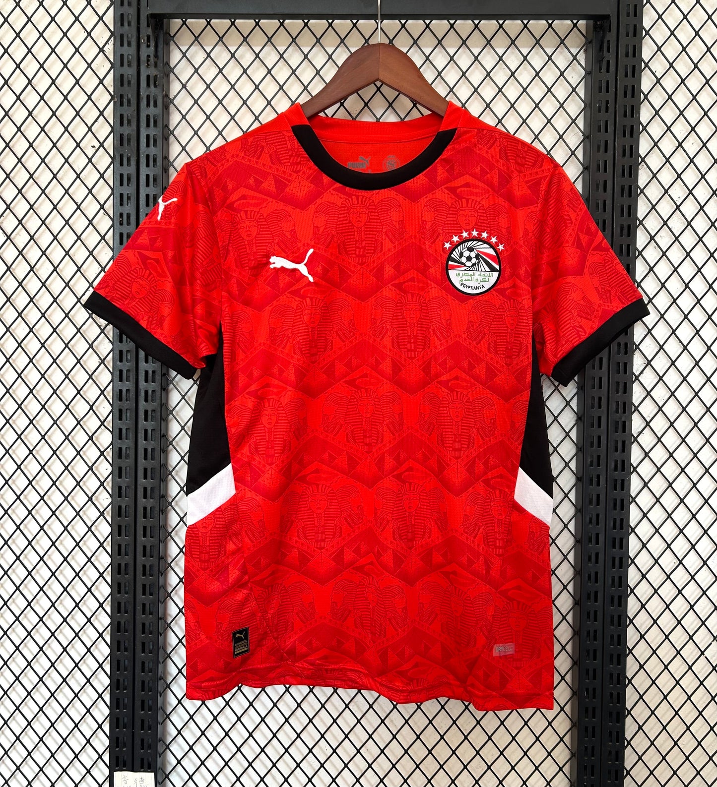 Egypt home jersey. Season 25/26