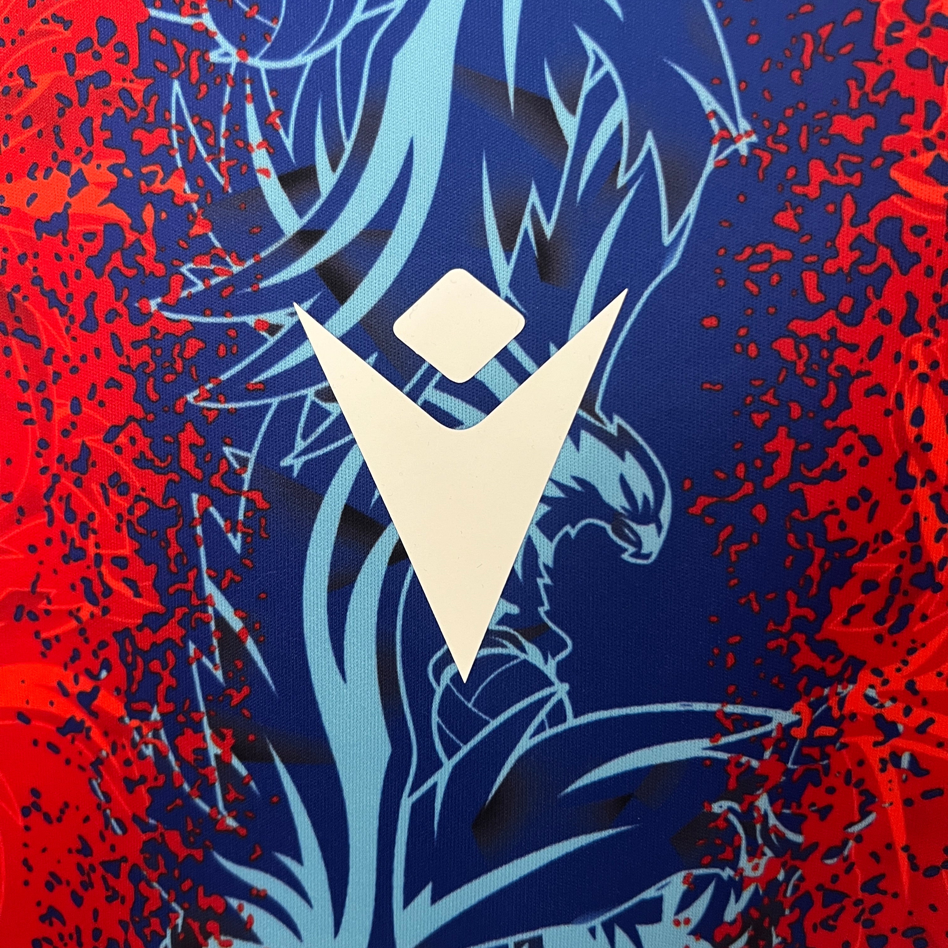 Crystal Palace home jersey. Season 24/25