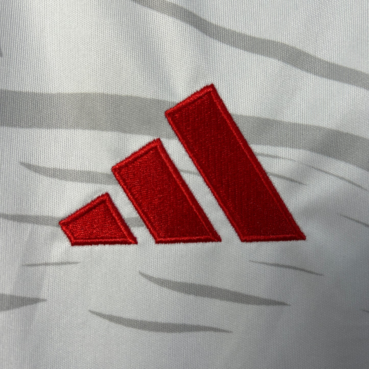 Benfica special edition jersey.