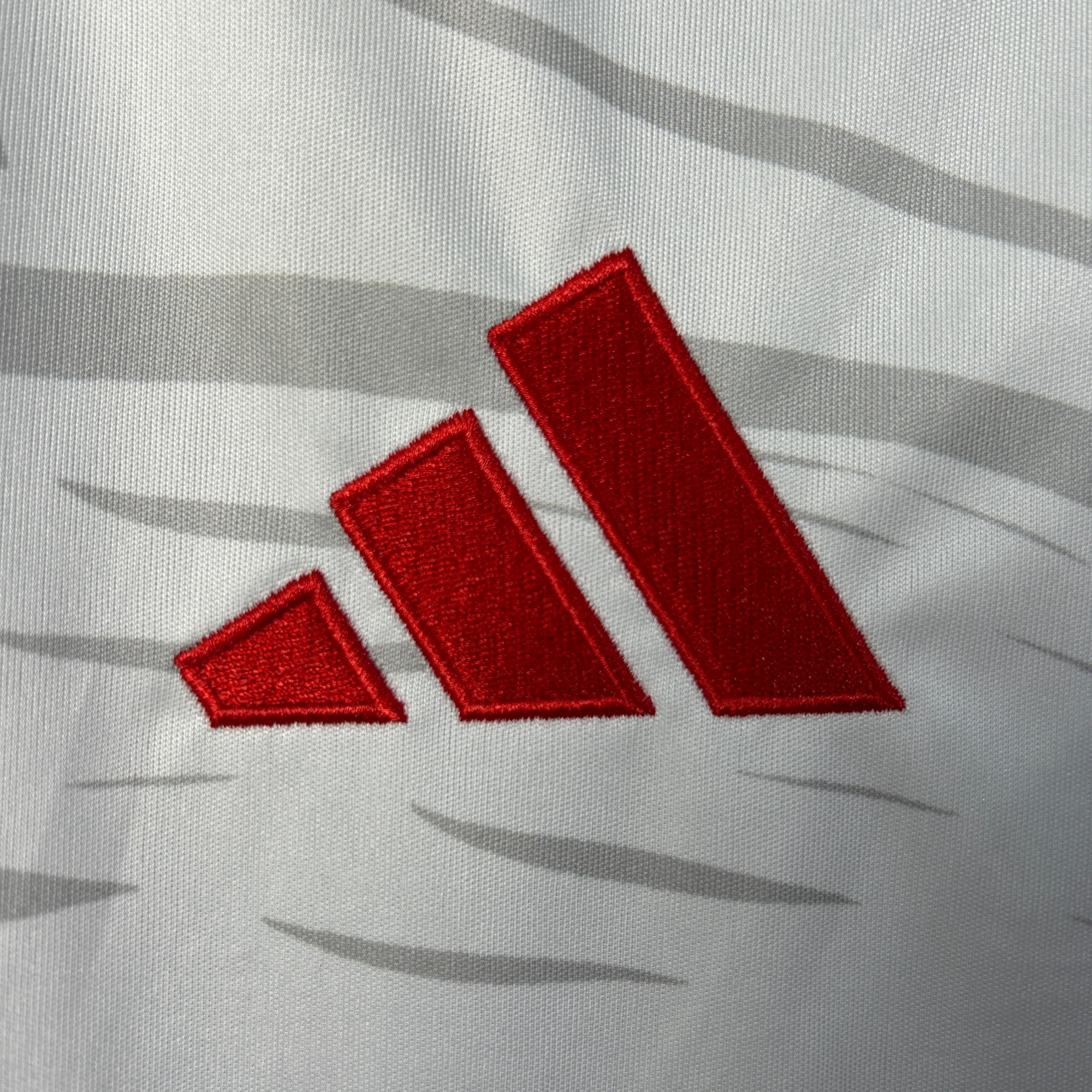 Benfica special edition jersey.