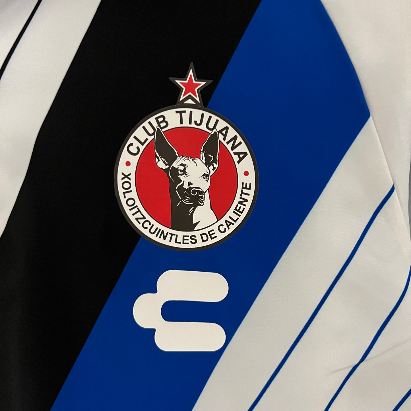 Xoloitzcuintles de Caliente double-sided Windbreaker