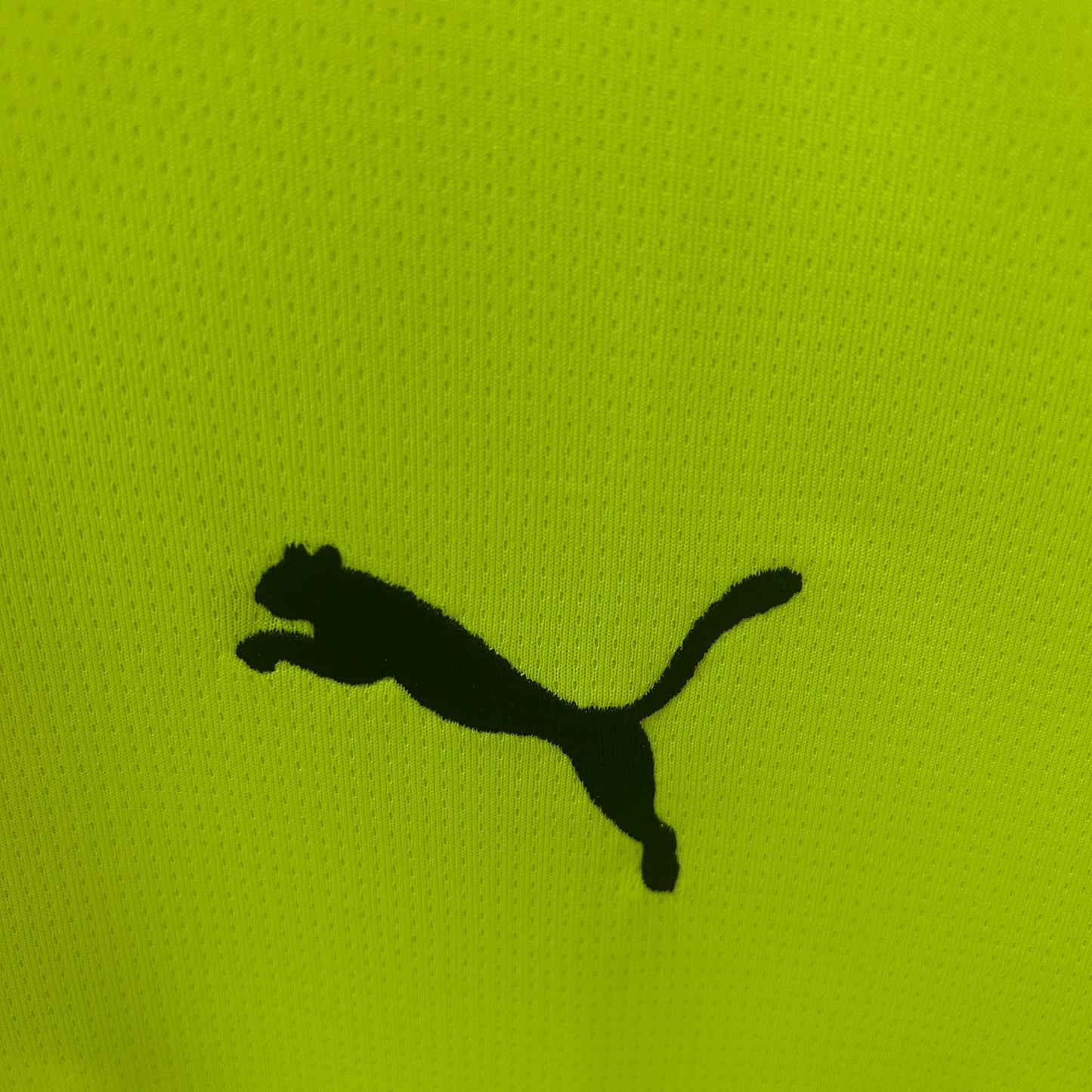 Borussia Dortmund Special Edition jersey. Season 24/25