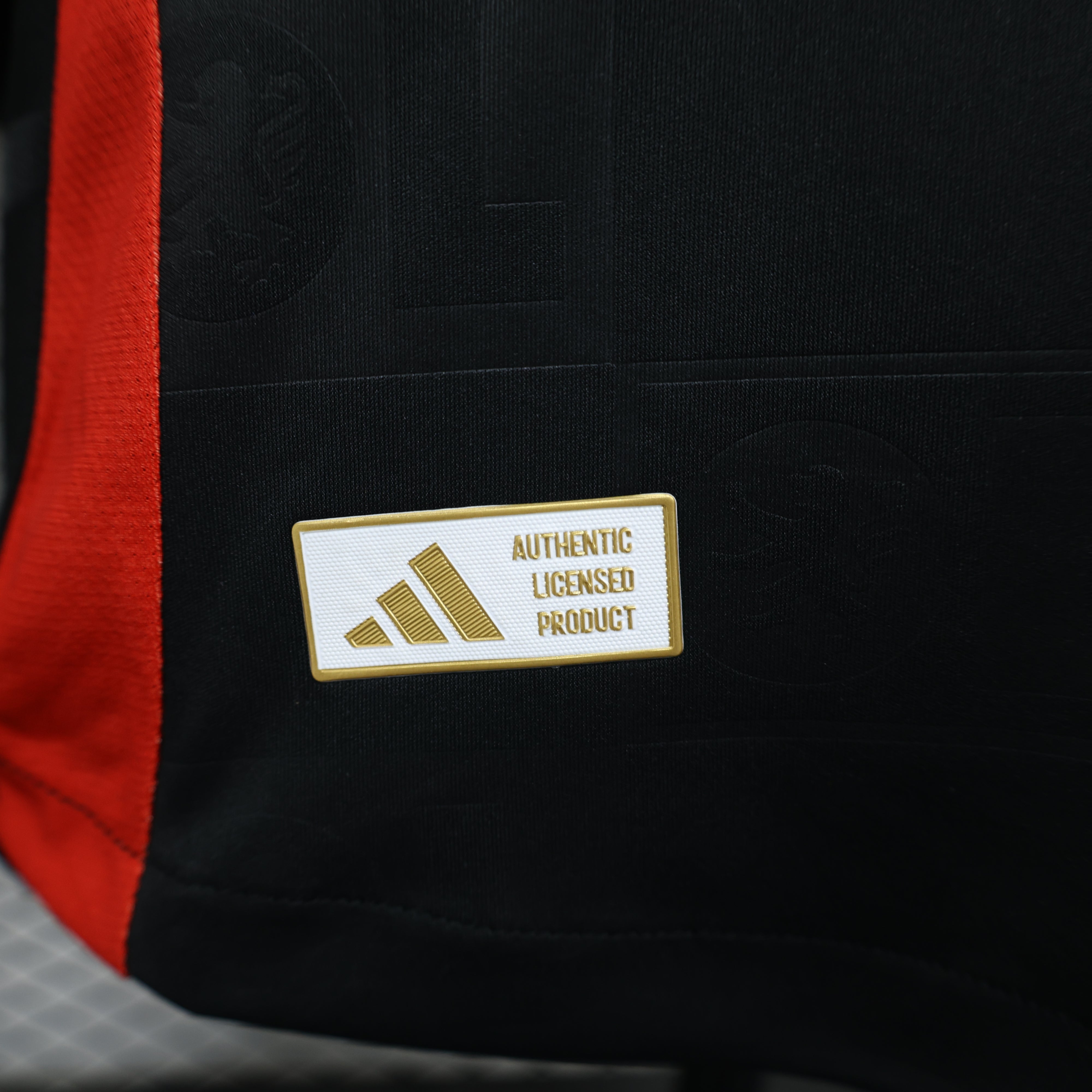 Olympique Lyon away jersey. Season 24/25 (Player Version)