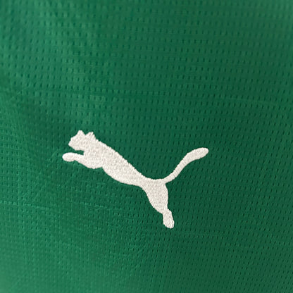 Palmeiras home jersey for women. Season 24/25