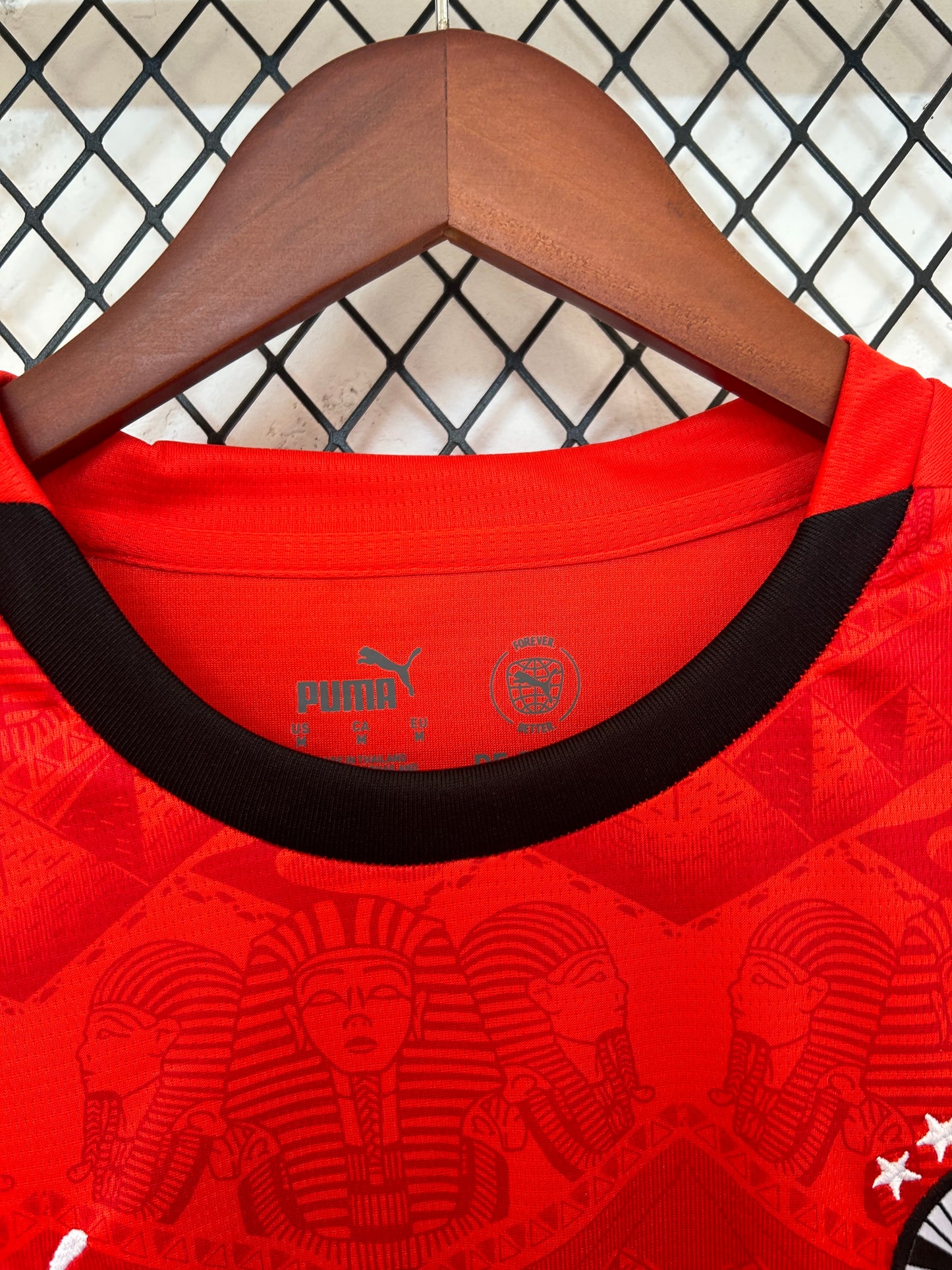 Egypt home jersey. Season 25/26