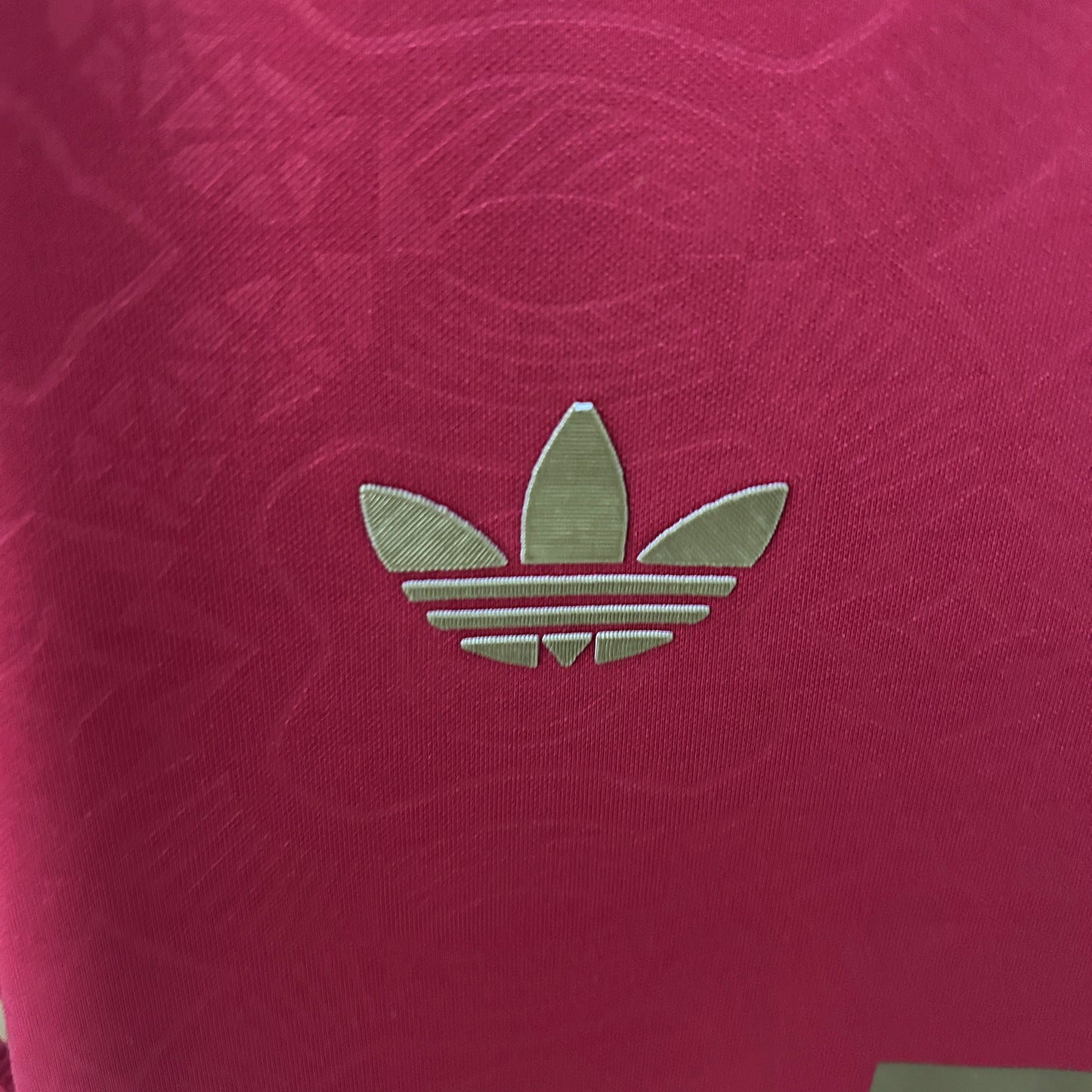 Bayern Munich Special Edition jersey. Season 24/25