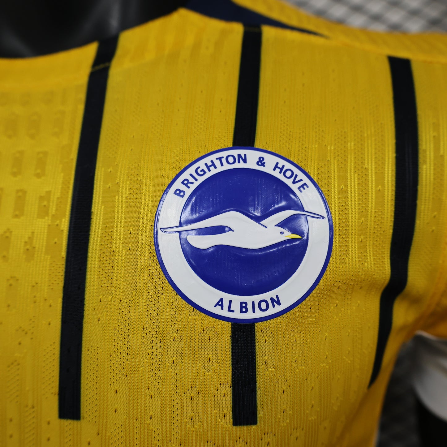 Brighton & Hove Albion away jersey. Season 24/24 (Player Version)